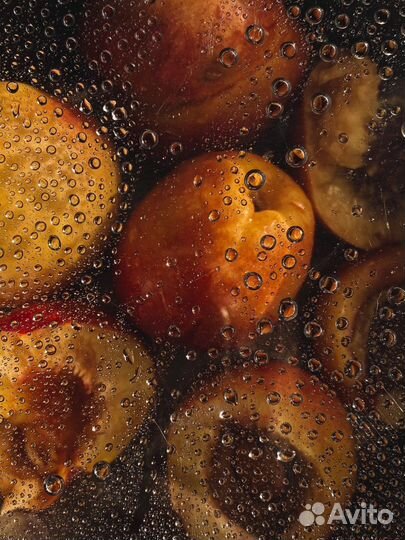 Обучение мобильной фотографии. Съёмка на телефон