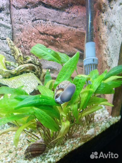 Аквариум с тумбой