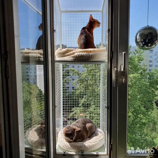 Балкон для кошки, вольер