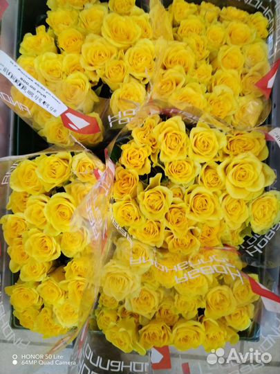 Роза российская 40см пачка (20 шт)