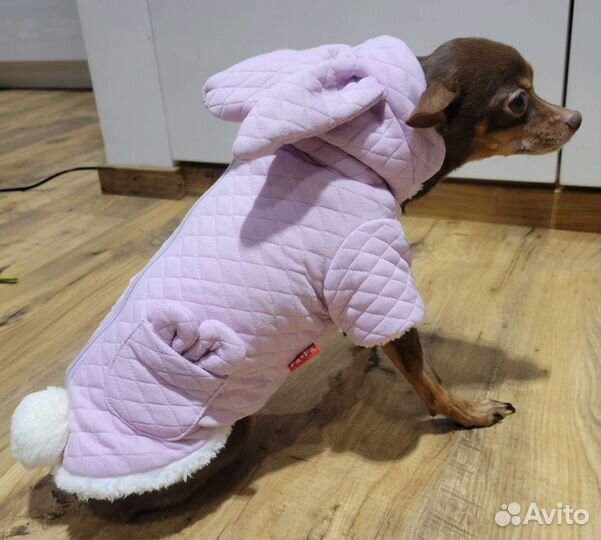 Кофточка для маленьких собачек