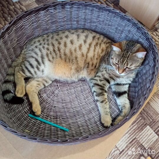 Лежанка для кошек