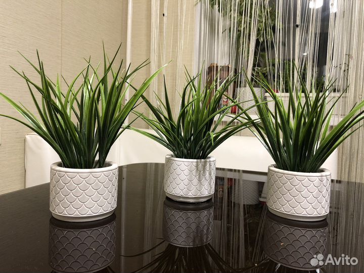 Осока искусственная, лаванда