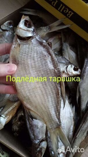 Рыба Астраханская вяленая