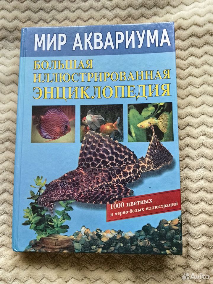 Мир аквариума