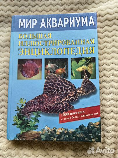 Мир аквариума