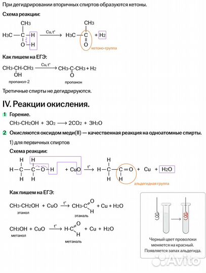 Конспекты от умскул