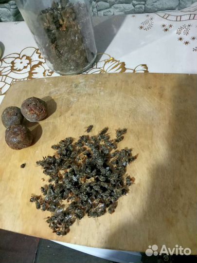 Прополис
