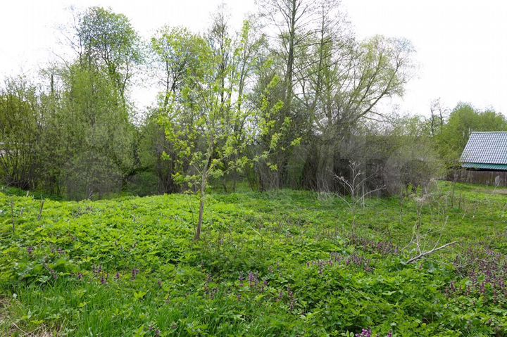 Участок 5,2 сот. (СНТ, ДНП)