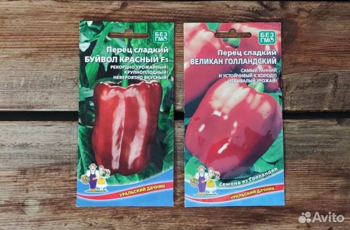 Семена Перца №1