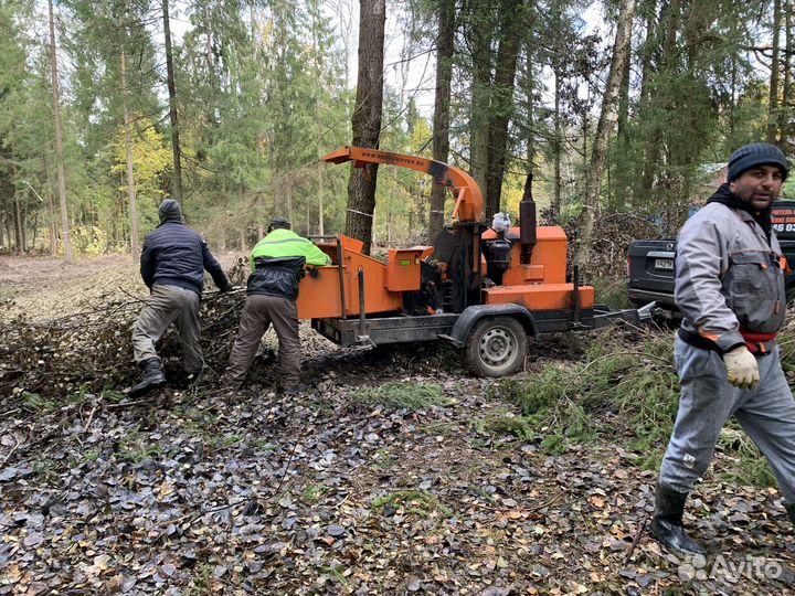 Расчистка участков, удаление деревьев