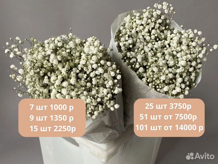 Букет из гипсофилы композиции цветы