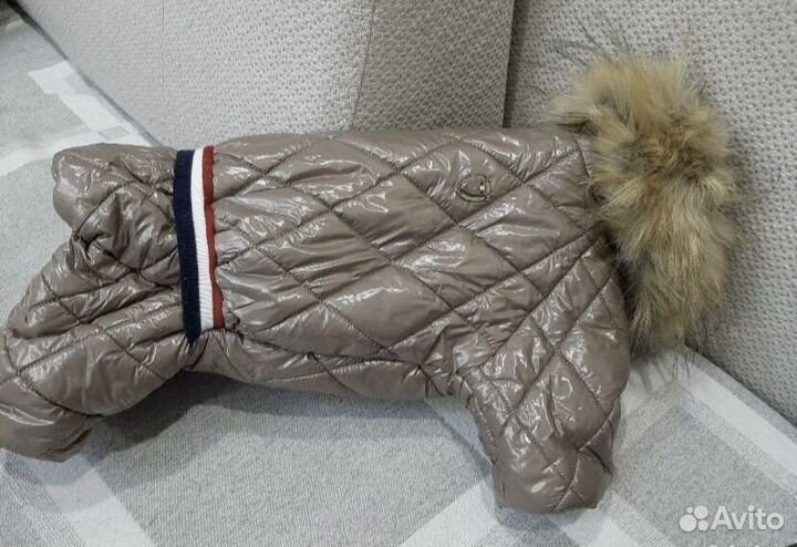 Зимний костюм для собак