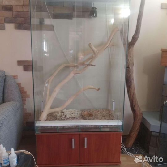 Террариум для рептилий