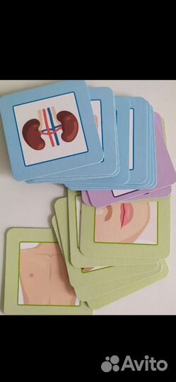 Умный чемоданчик Тело человека