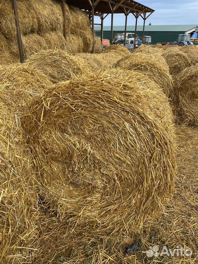Солома в рулонах