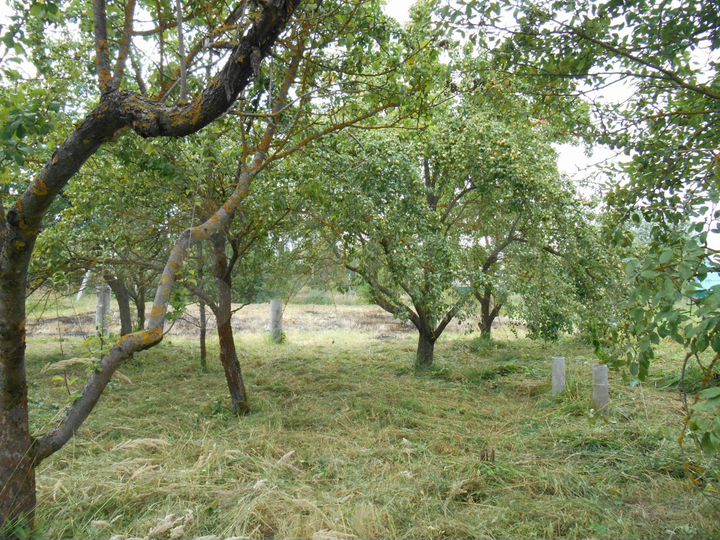 Участок 12 сот. (ИЖС)