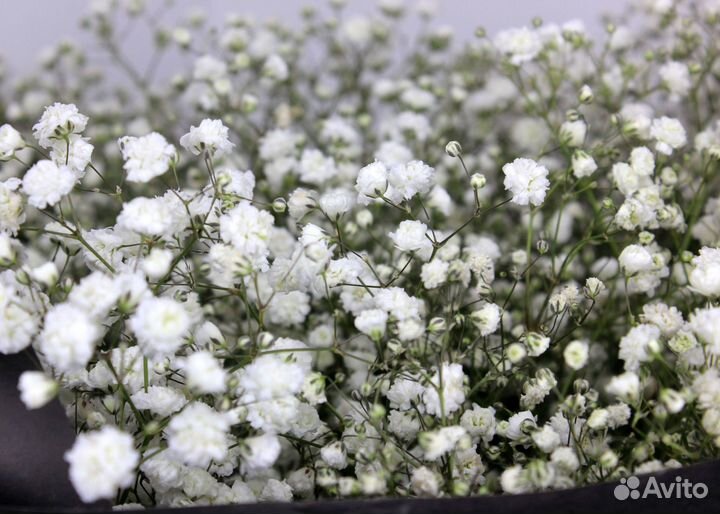 Доставка букетов