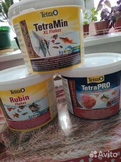 Аквариумные рыбки