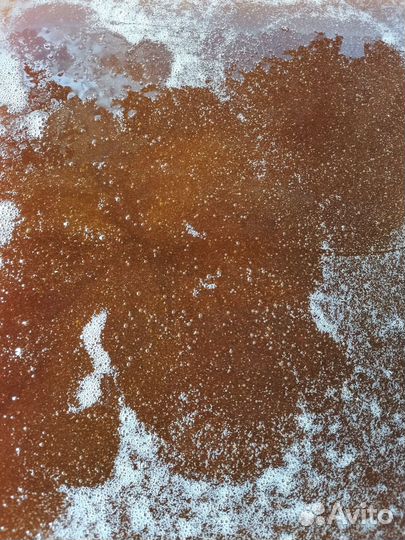 Мёд со своей пасеки 2023