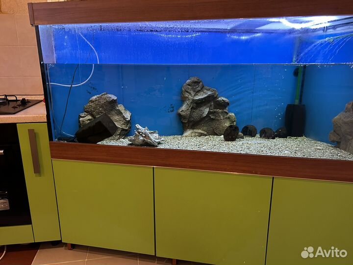 Аквариум