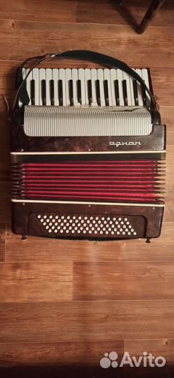 Аккордеон 