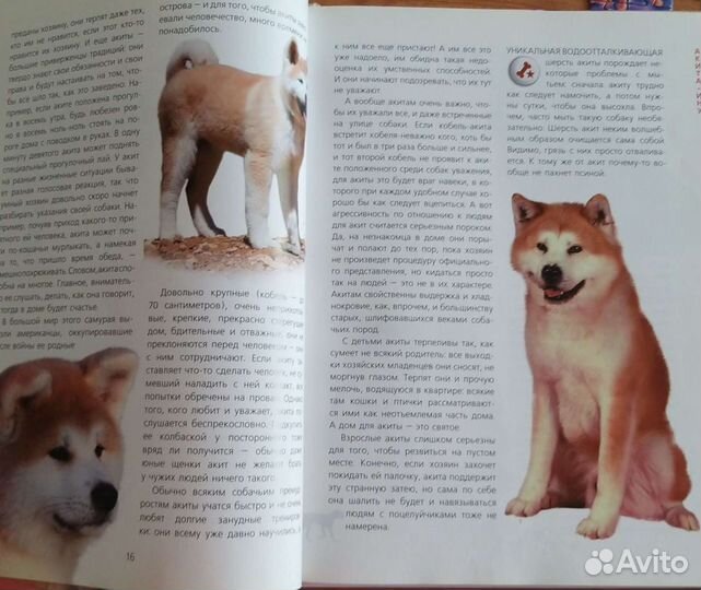 Книги для детей