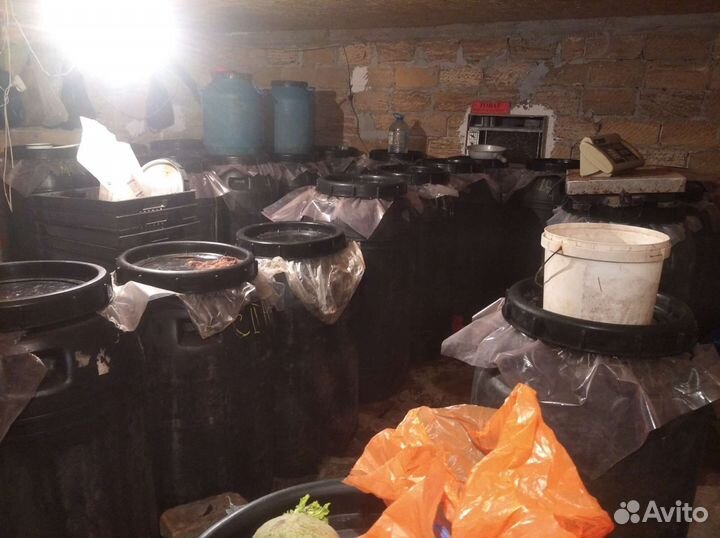 Продукты питания