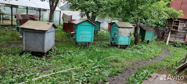 Продам ульи для пчёл двух стенные