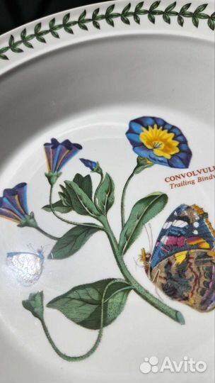 Portmeirion botanical garden для Натальи