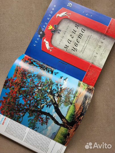 Книга Стаффорд Клифф Стиль жизни Магия цвета