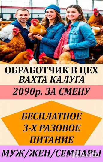 Обработчик(ца) вахта с Вкусным питанием