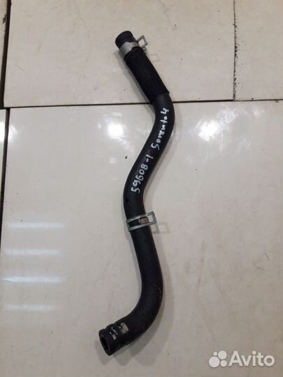 Патрубок системы охлаждения (Kia Sorento IV)