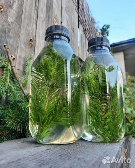 Продам масло Пихтовое