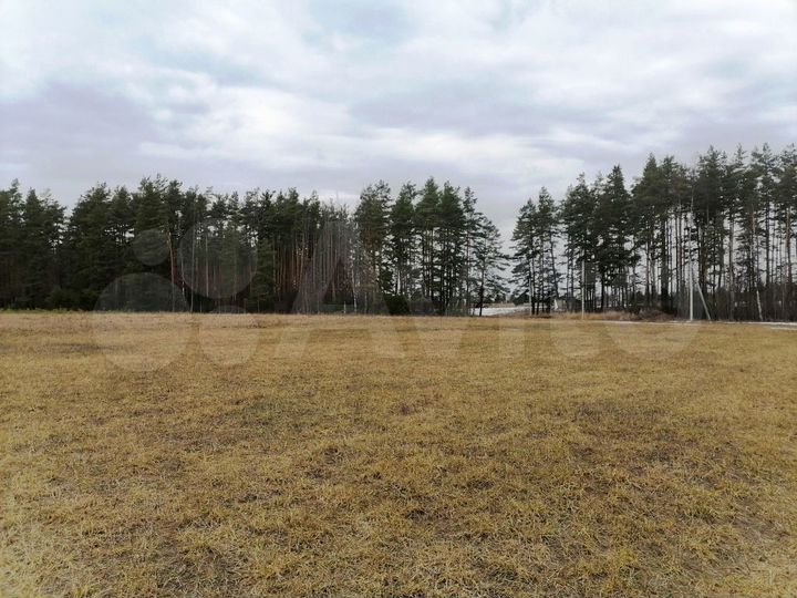 Участок 4,2 га (СНТ, ДНП)