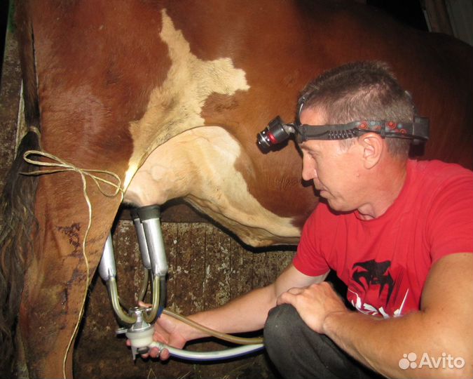 Масло сливочное домашнее