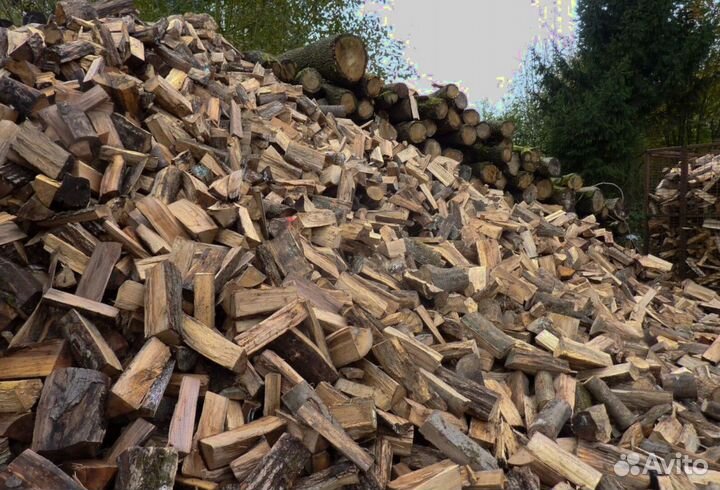 Дрова ольха осина береза
