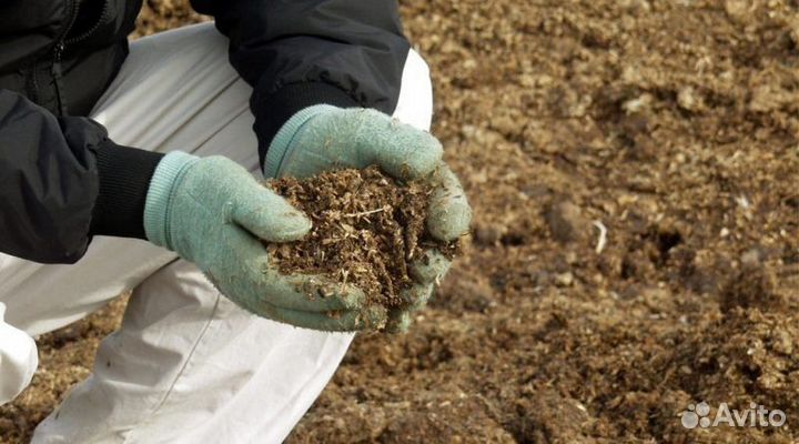 Куриный помет в мешках