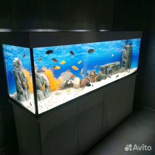 Аквариумы на заказ