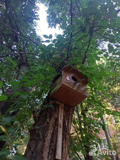 Скворечник читат каьалог про птиц