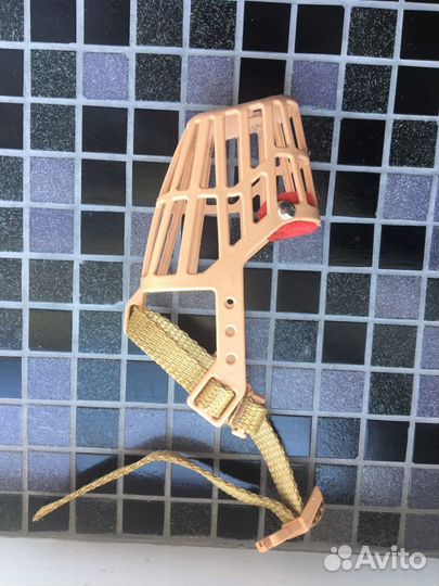 Намордник для той терьера