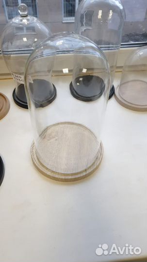 Клош стеклянный