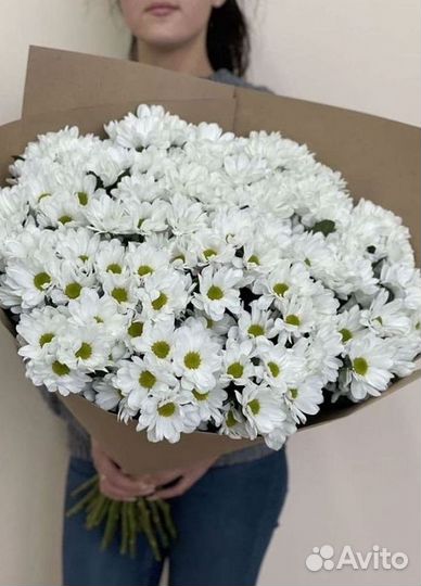 Хризантема Доставка цветов Букеты
