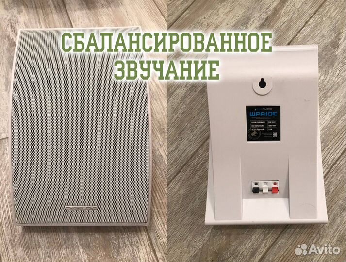 Настенная акустика cvgaudio WPA10TW