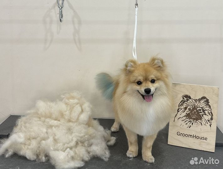 Стрижка собак, груминг животных