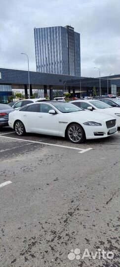 Jaguar XJ 3.0 AT, 2017, 92 000 км