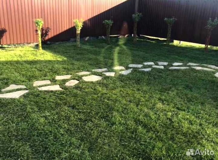 Газон. Рулонный газон