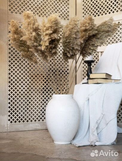 Пампасная трава камыш сухоцветы