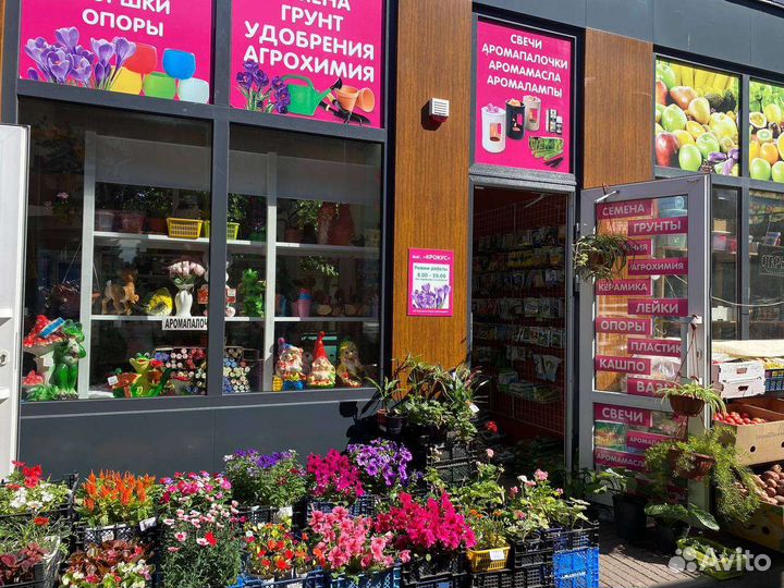 Венерина мухоловка дионея