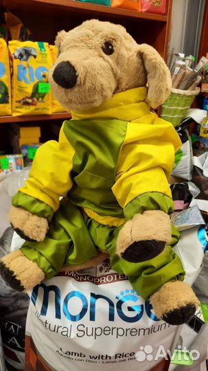 Дождевики, Комбинезоны, ошейники, поводки, шлейки